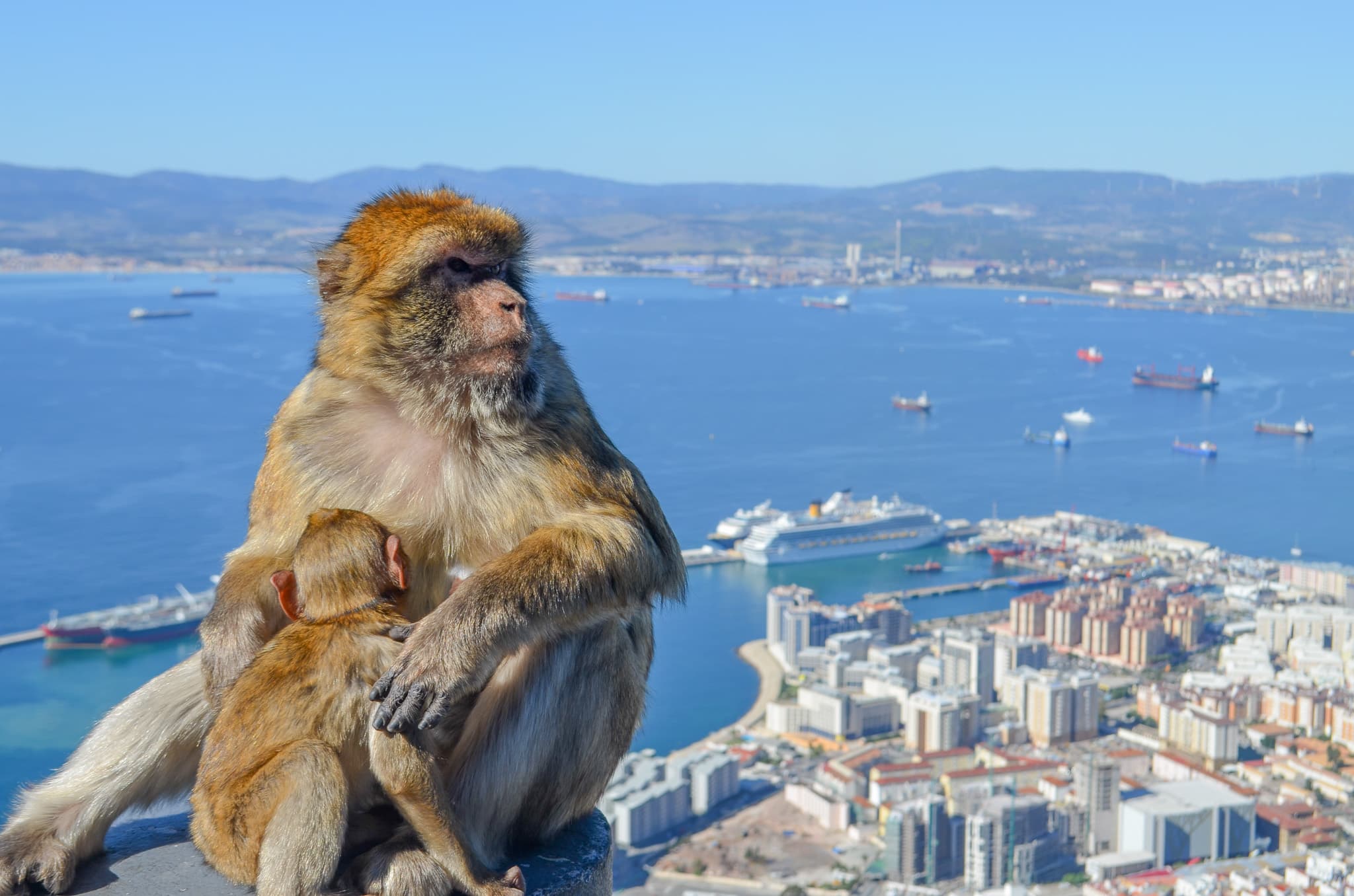 Run Oracle in a Docker container on Windows